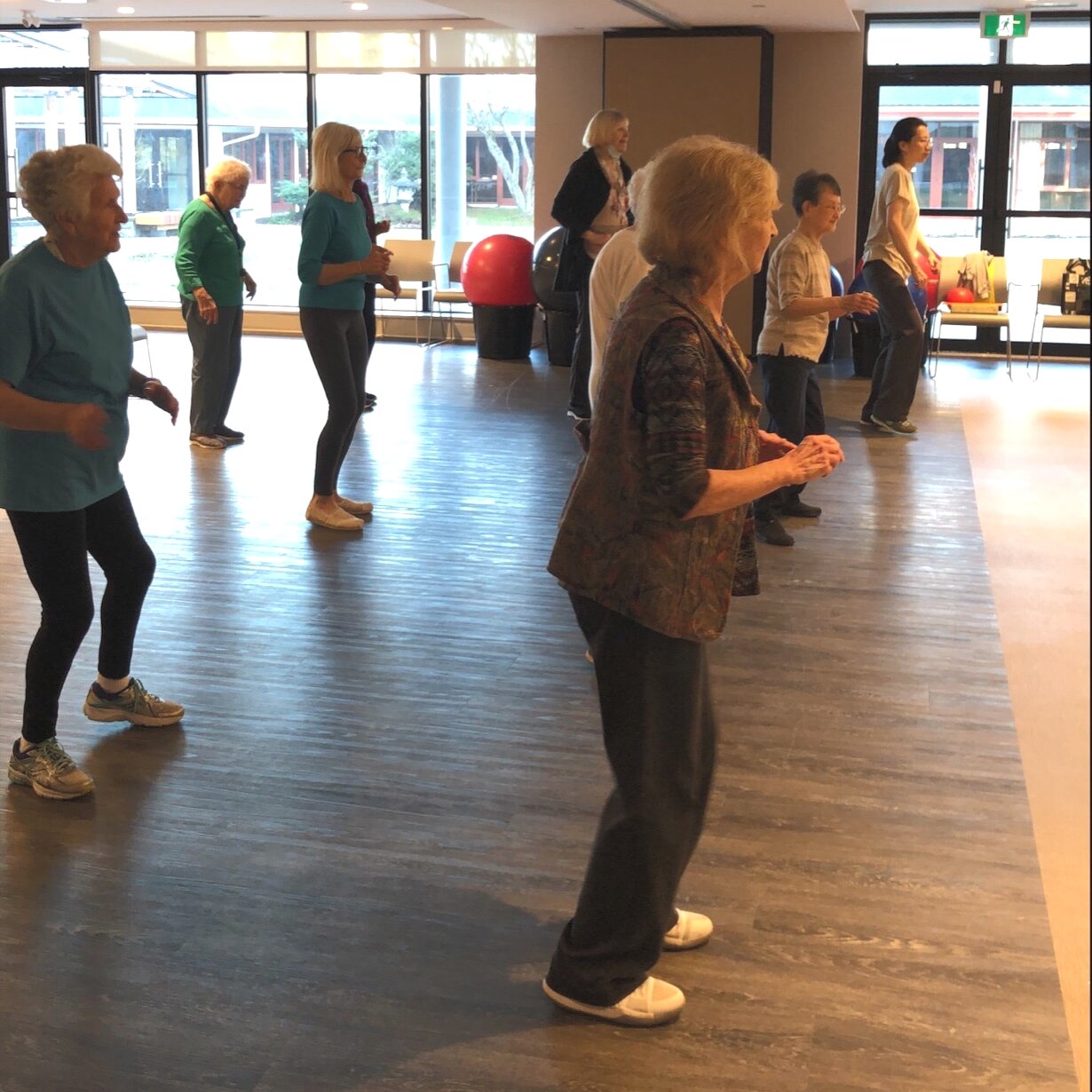 easy balance exercises for seniors, group dancing
