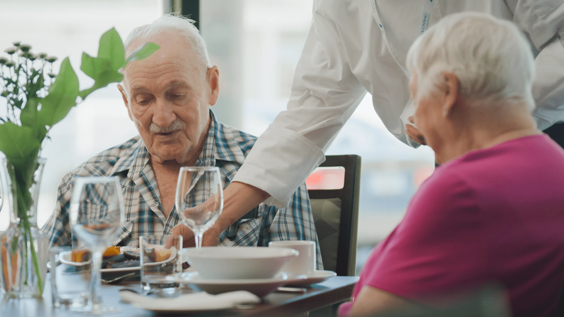 A server serving healthy meals for older adults