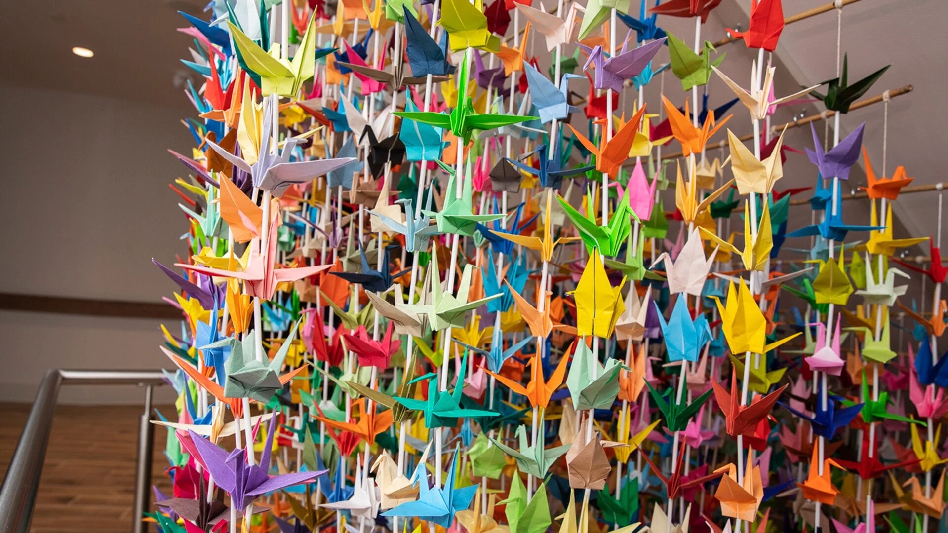 Hanging artwork made of origami birds in a rainbow of colours inside WP retirement home
